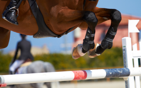Wie een paard mishandelt om een sport te winnen, krijgt nauwelijks straf