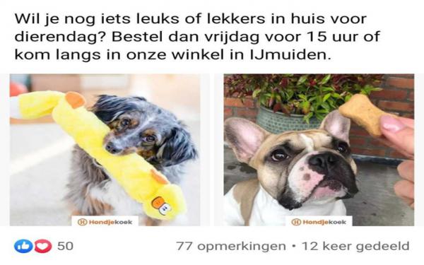 Hondjekoek.nl