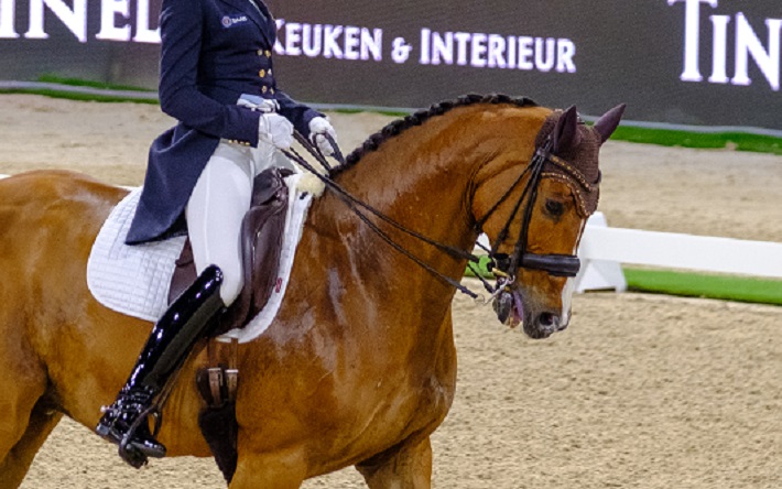 Een paard met pijn tijdens The Dutch Masters