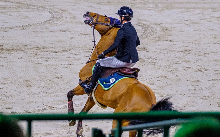 Paard met pijn tijdens The Dutch Masters