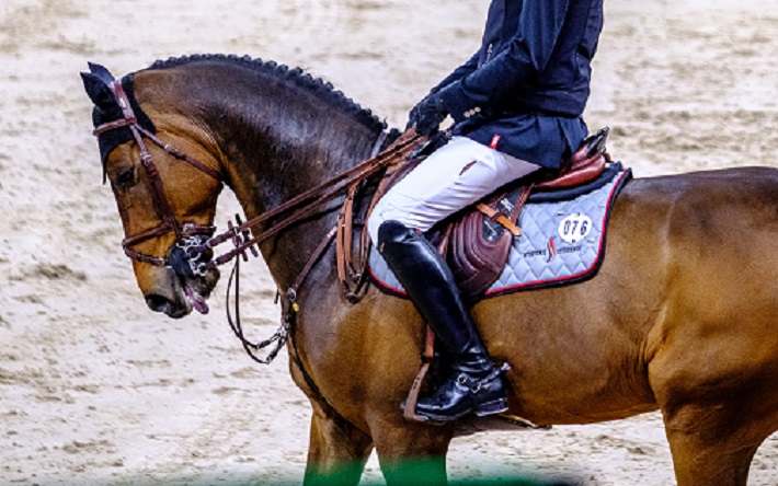 Een paard met pijn tijdens The Dutch Masters