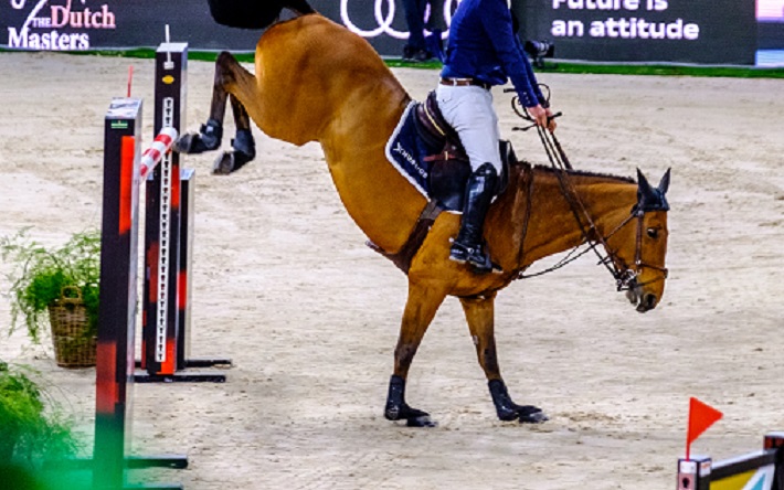 Paard met pijn tijdens The Dutch Masters