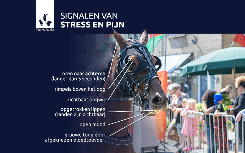 Signalen van stress en pijn