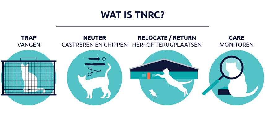 Wat is TNRC?