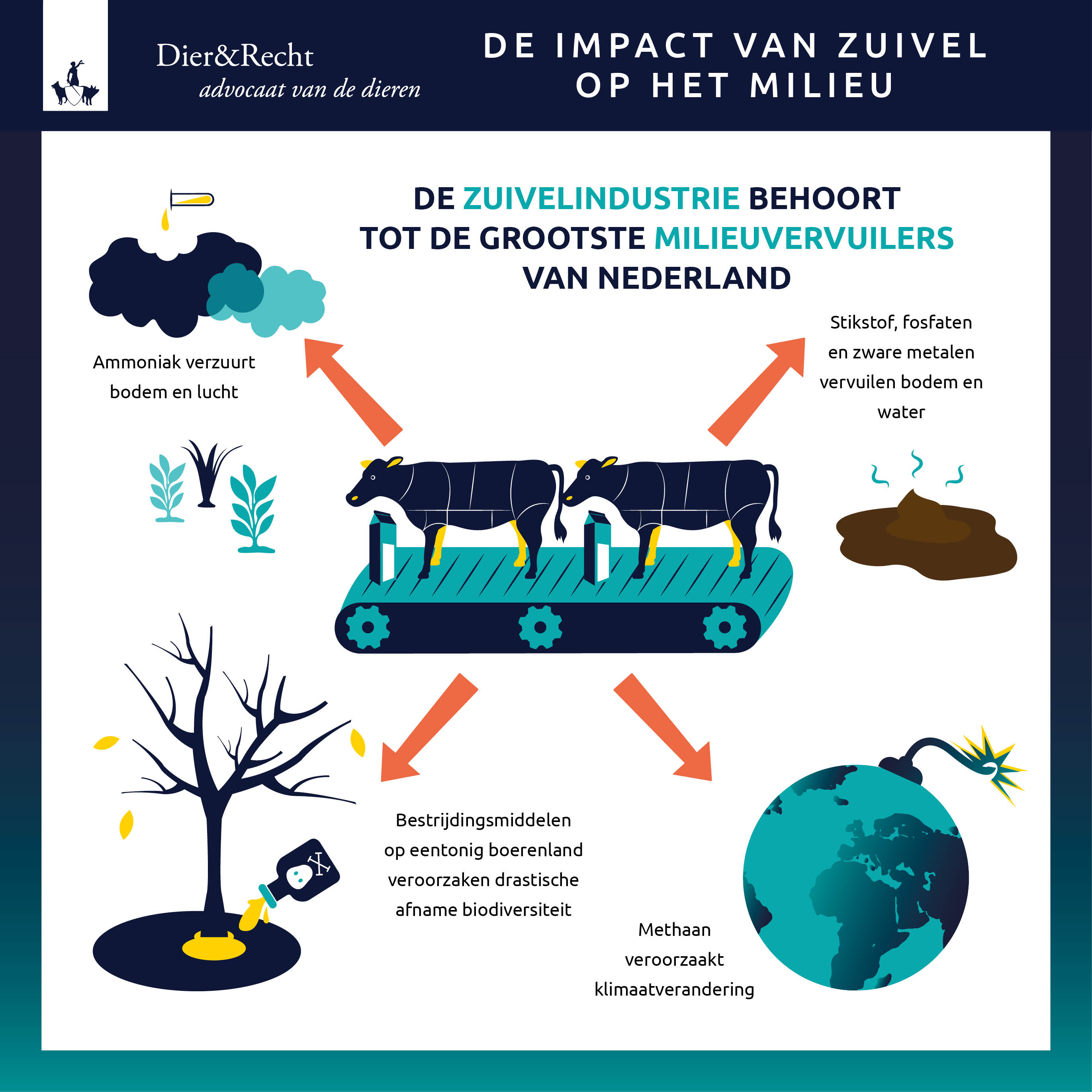 De impact van zuivel op het milieu