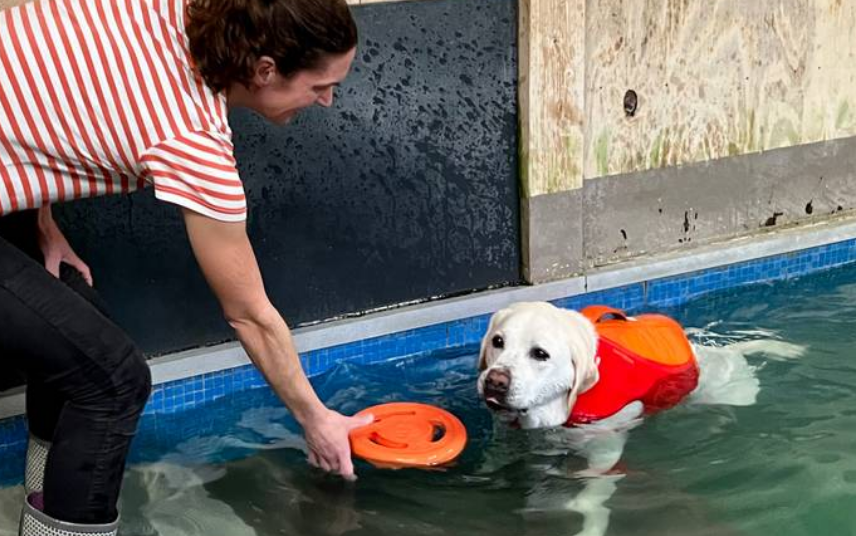 Oefentherapie om sterk te blijven