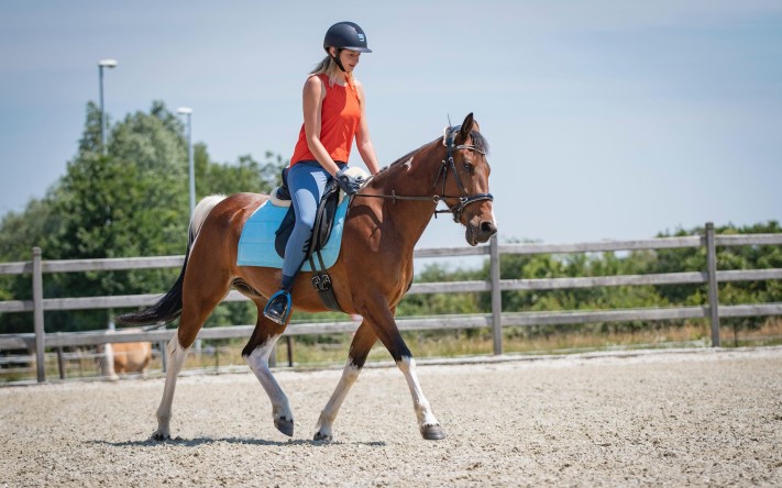 Bitloos paardenmanege