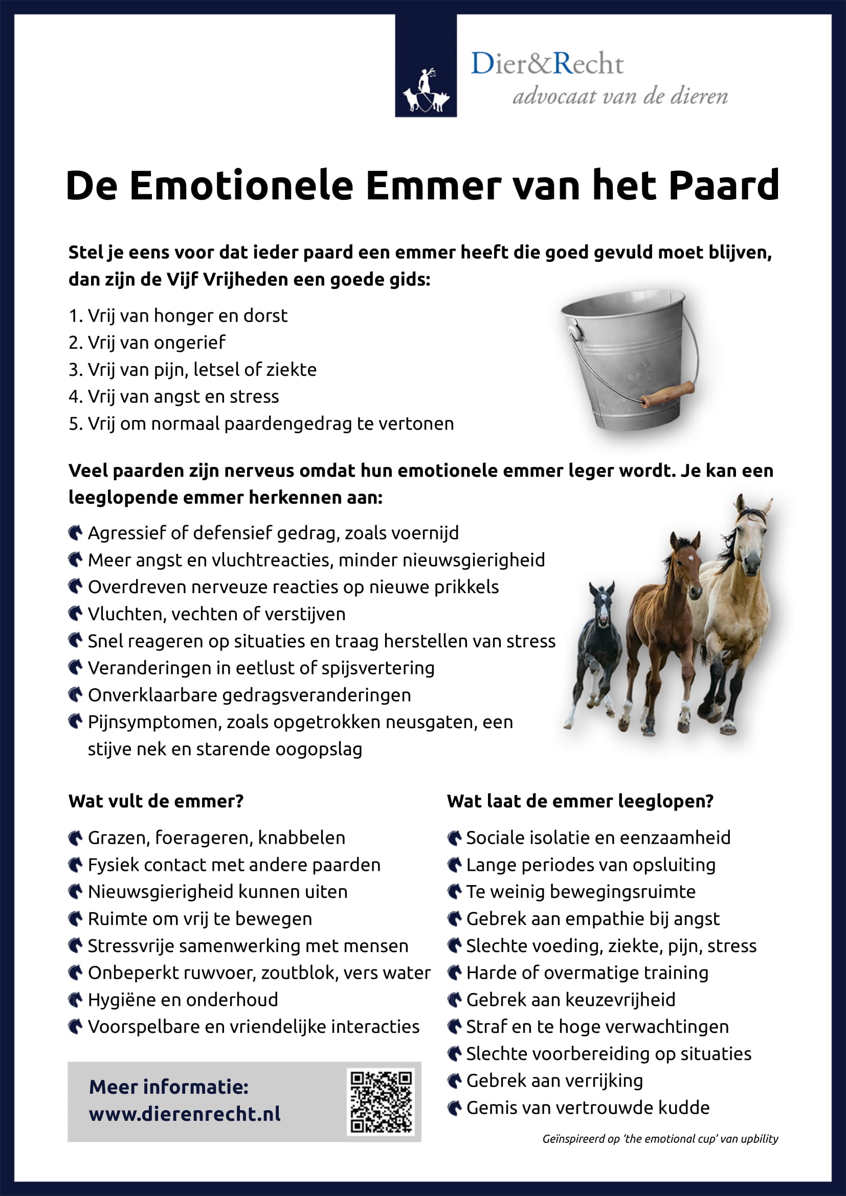 de emotionele emmer van het paard