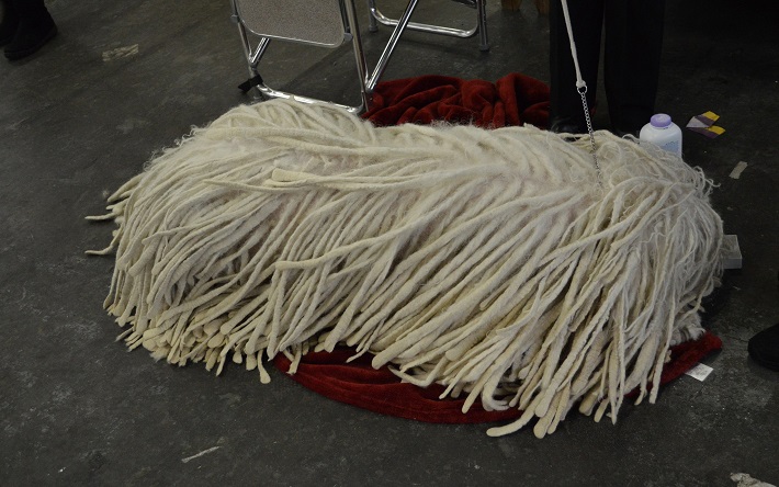 Komondor