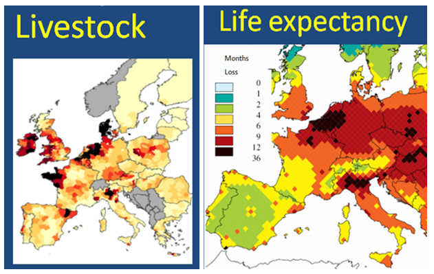 Livestock VS life expectancy
