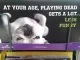 Hallmark en Bulldog