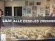 Spandoek eenden
