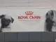 spandoek van Royal Canin