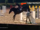 Olympisch ruiter Beerbaum mishandelt paarden