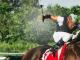 Zweep verboden bij paardenraces in Zweden