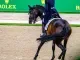 Paard met pijn tijdens The DUtch Masters