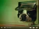 kpn reclame still