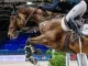 Mishandelingen in de paardensport zijn geen incident