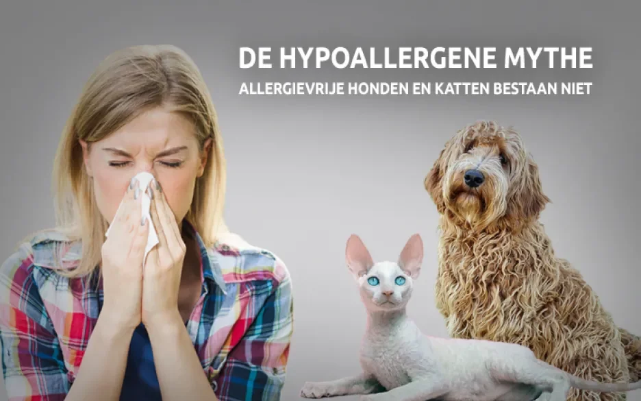 Stop de hypoallergene mythe