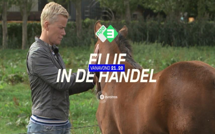 Ellie in de paardenhandel