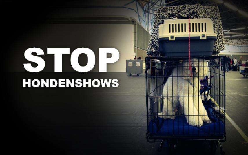 Stop hondenshows