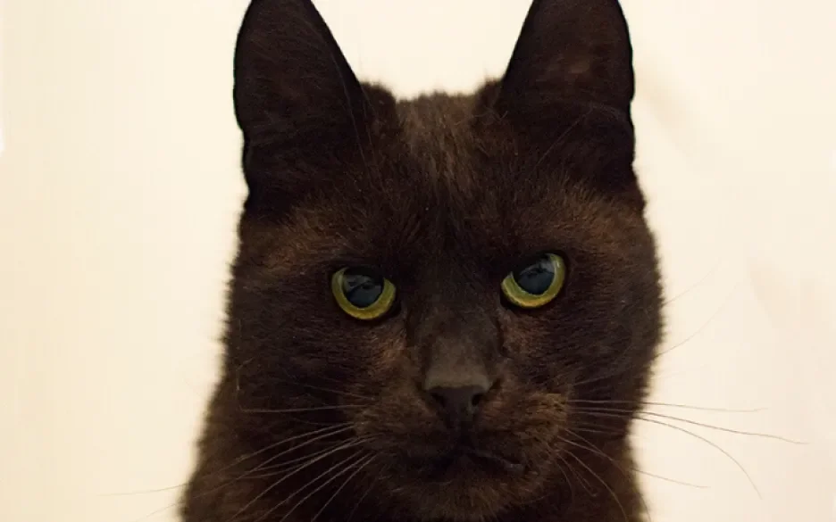 Jerry