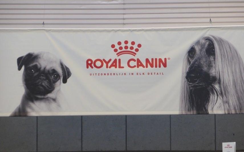 spandoek van Royal Canin
