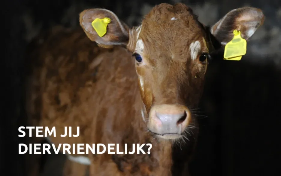 Zo dier(on)vriendelijk stemden politieke partijen de afgelopen kabinetsperiode