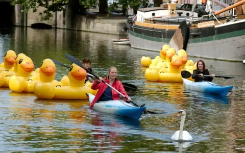 Actie met badeenden in Den Haag