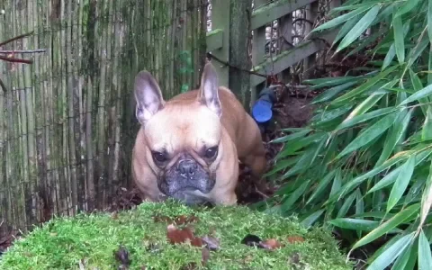 Het verborgen leed van kleine Billie