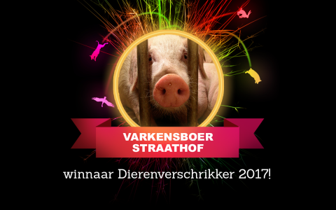 Varkensboer Straathof uitgeroepen tot Dierenverschrikker van 2017