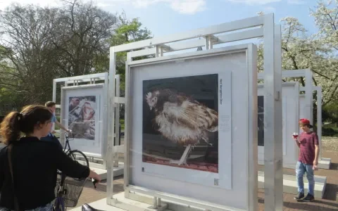 Positieve reacties op vee-foto’s in Wageningen