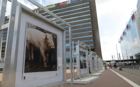Dierendebat opgeluisterd met levensgrote foto’s