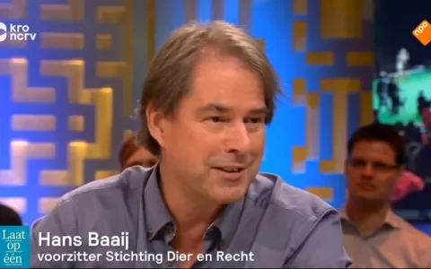 Veel media-aandacht voor campagne tegen hondenshows
