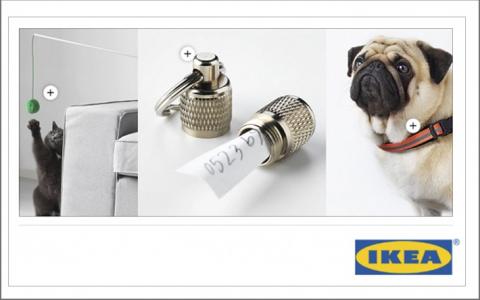 IKEA Nederland bant stukgefokte Mopshond uit reclames