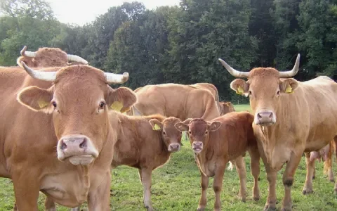 Laat meer van je horen, innoverende boeren!