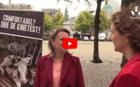 Tweede Kamerleden maken knieval voor dierenwelzijn