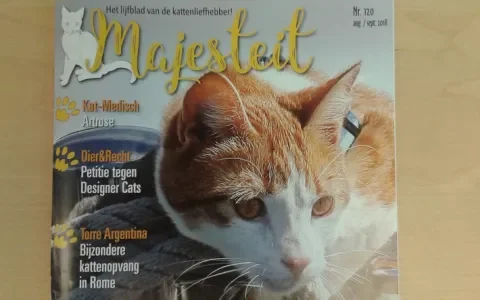 Majesteit informeert over de problemen bij raskatten en designer cats