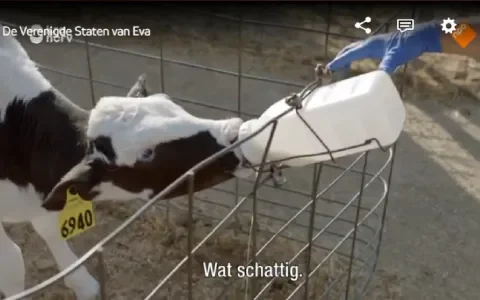 De blinde vlek van Eva Jinek