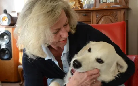 Zaterdag 7 november in Kassa: Golden Retriever Pebbles