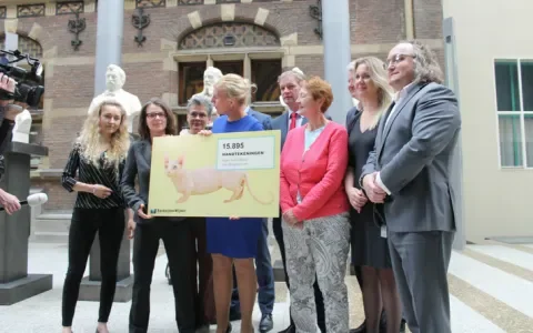 Dier&Recht in overleg met Tweede Kamerleden om het fokken van de Bambino Sphynx te stoppen