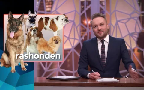 RashondenWijzer in Zondag met Lubach