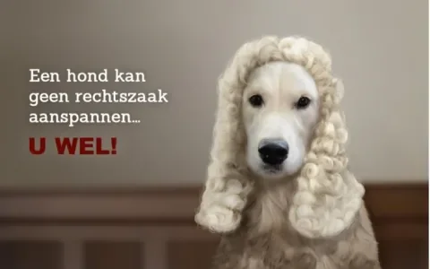 Steun onze strijd tegen foute fokkers