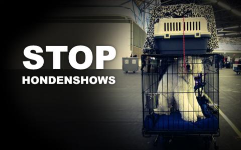 Stop hondenshows: teken de petitie!