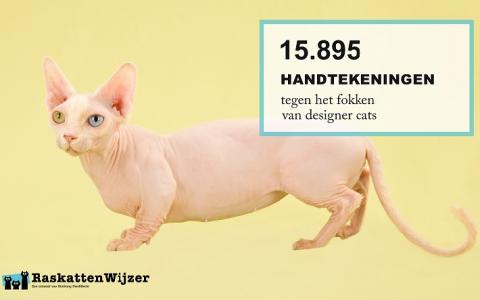 Dier&Recht biedt petitie aan bij Tweede kamer: Stop het fokken van designer cats!