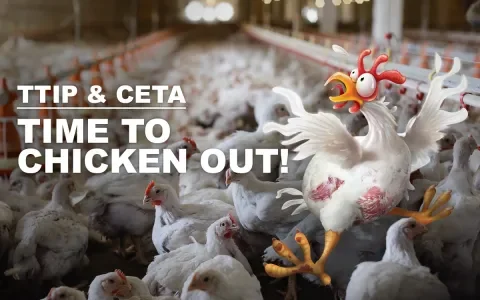 Laatste kans op actie tegen TTIP en CETA