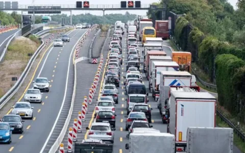 Dieren sterven in files voor grenscontroles, stop internationale veetransporten!