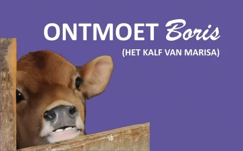 Milka stelt je voor aan slachtoffers van de zuivelindustrie