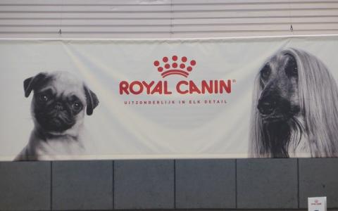 Royal Canin stopt reclames met Franse buldogs en mopshonden