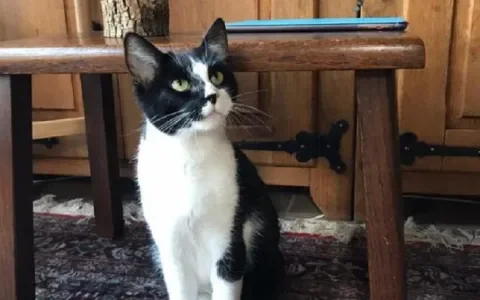 Diva is klaar voor een nieuwe fase!